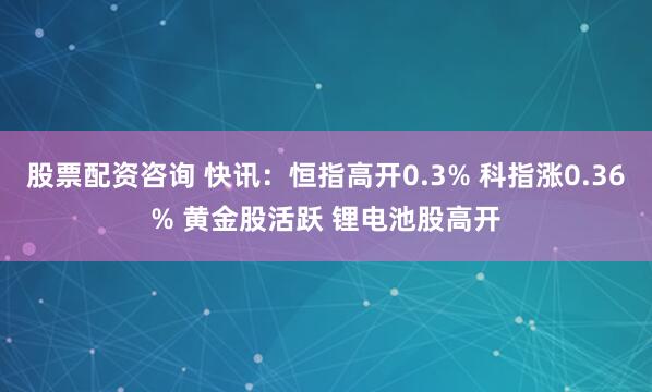 股票配资咨询 快讯:恒指高开0.3% 科指涨0.36% 黄金股活跃 锂电池股高开