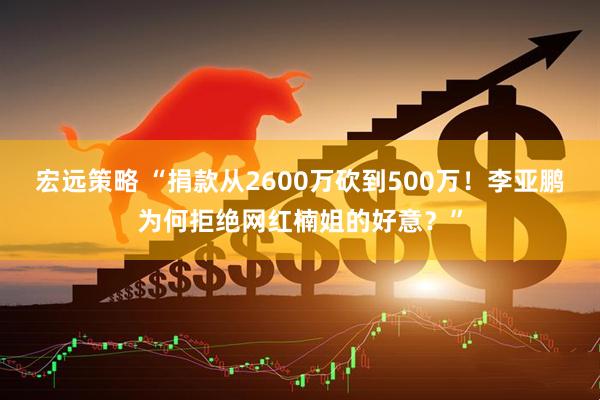 宏远策略 “捐款从2600万砍到500万！李亚鹏为何拒绝网红楠姐的好意？”