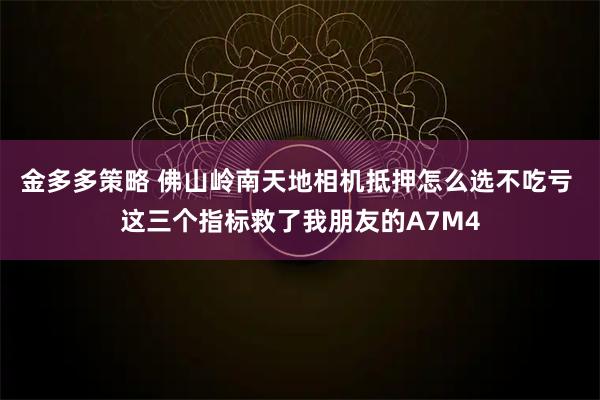 金多多策略 佛山岭南天地相机抵押怎么选不吃亏 这三个指标救了我朋友的A7M4